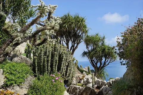 Jardin exotique