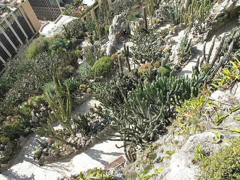 Jardin exotique