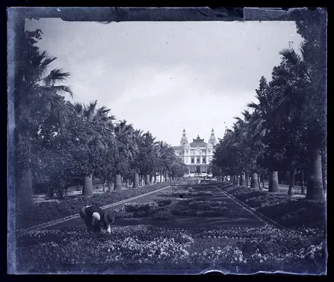 Jardins du Casino