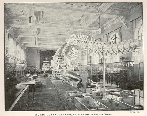 Musée océanographique