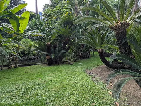 Jardins de la Petite Afrique